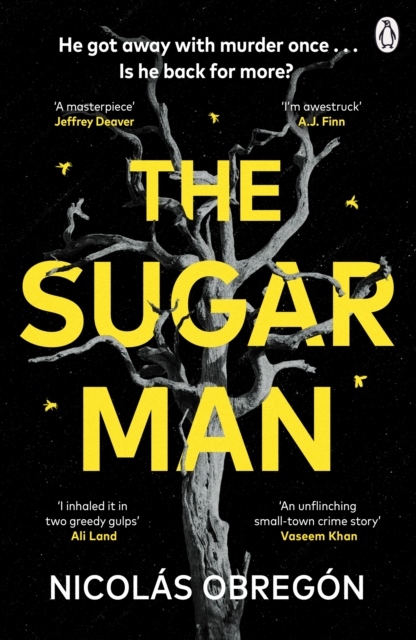 Omslag: The Sugar Man