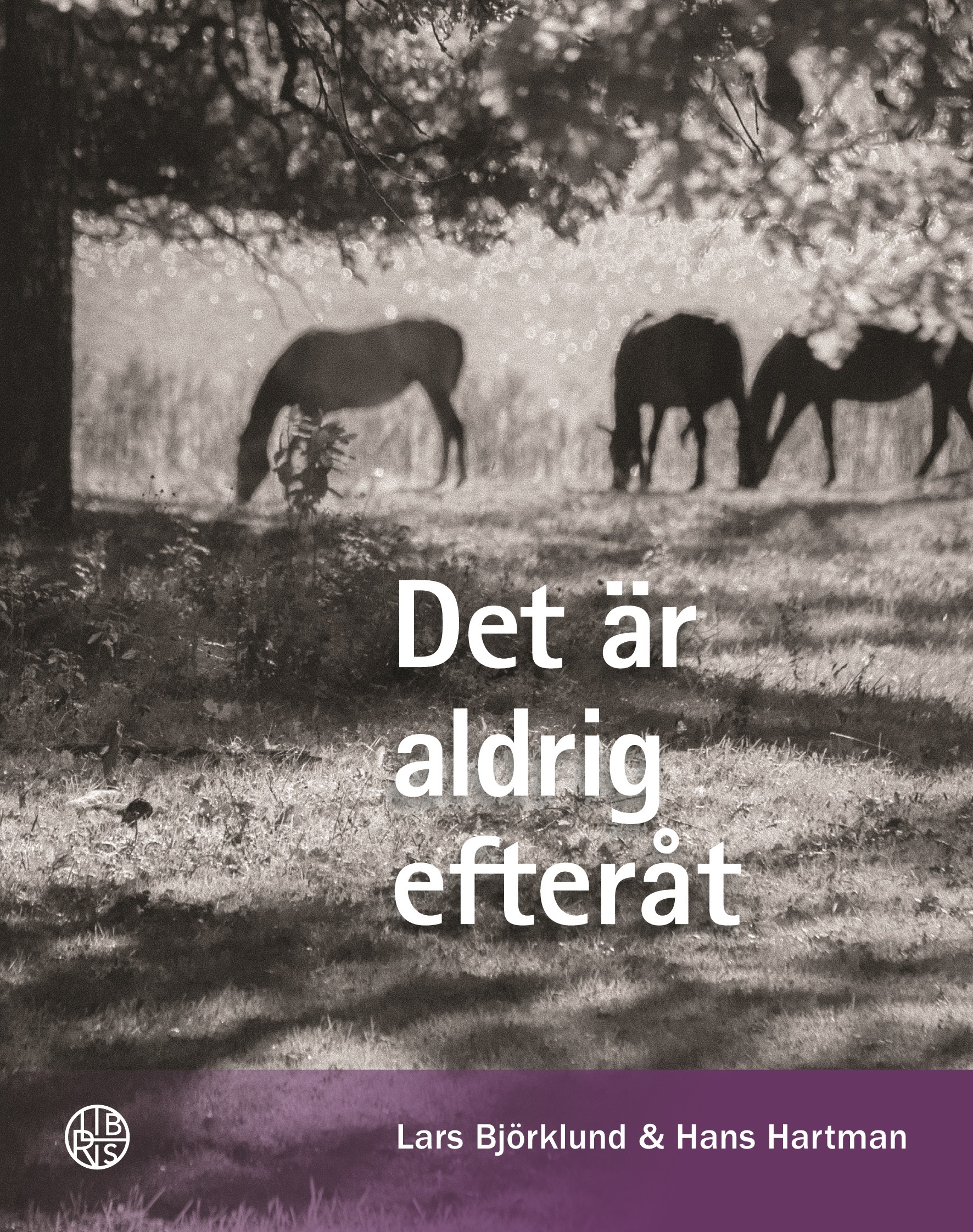 Omslag: Det är aldrig efteråt