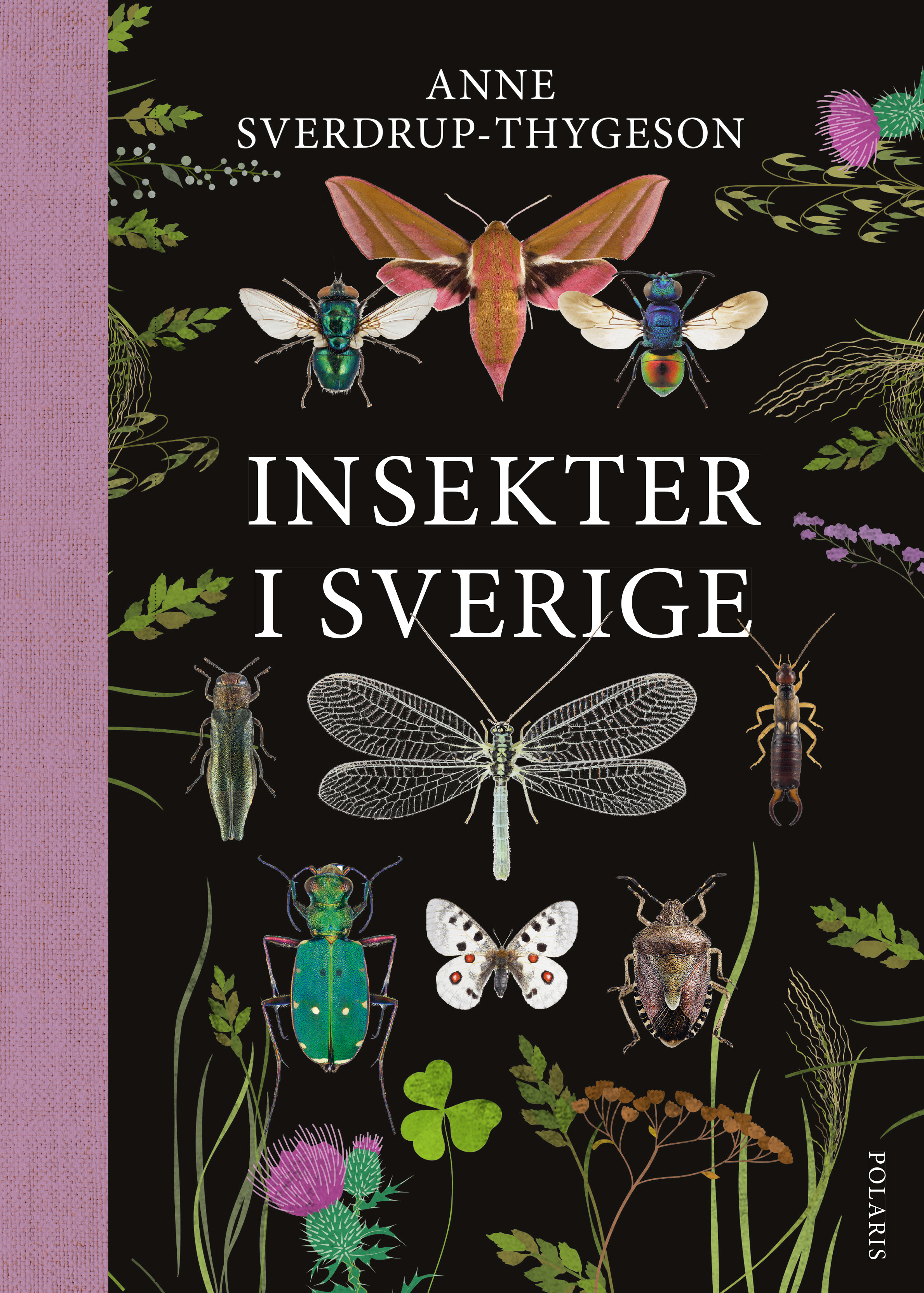 Omslag: Insekter i Sverige