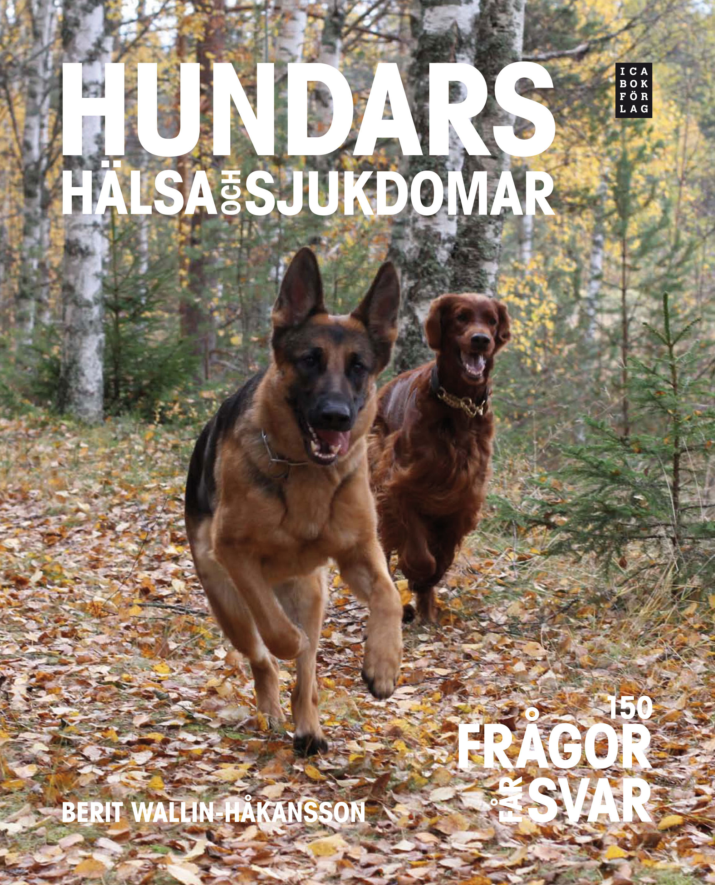 Omslag: Hundars hälsa och sjukdomar