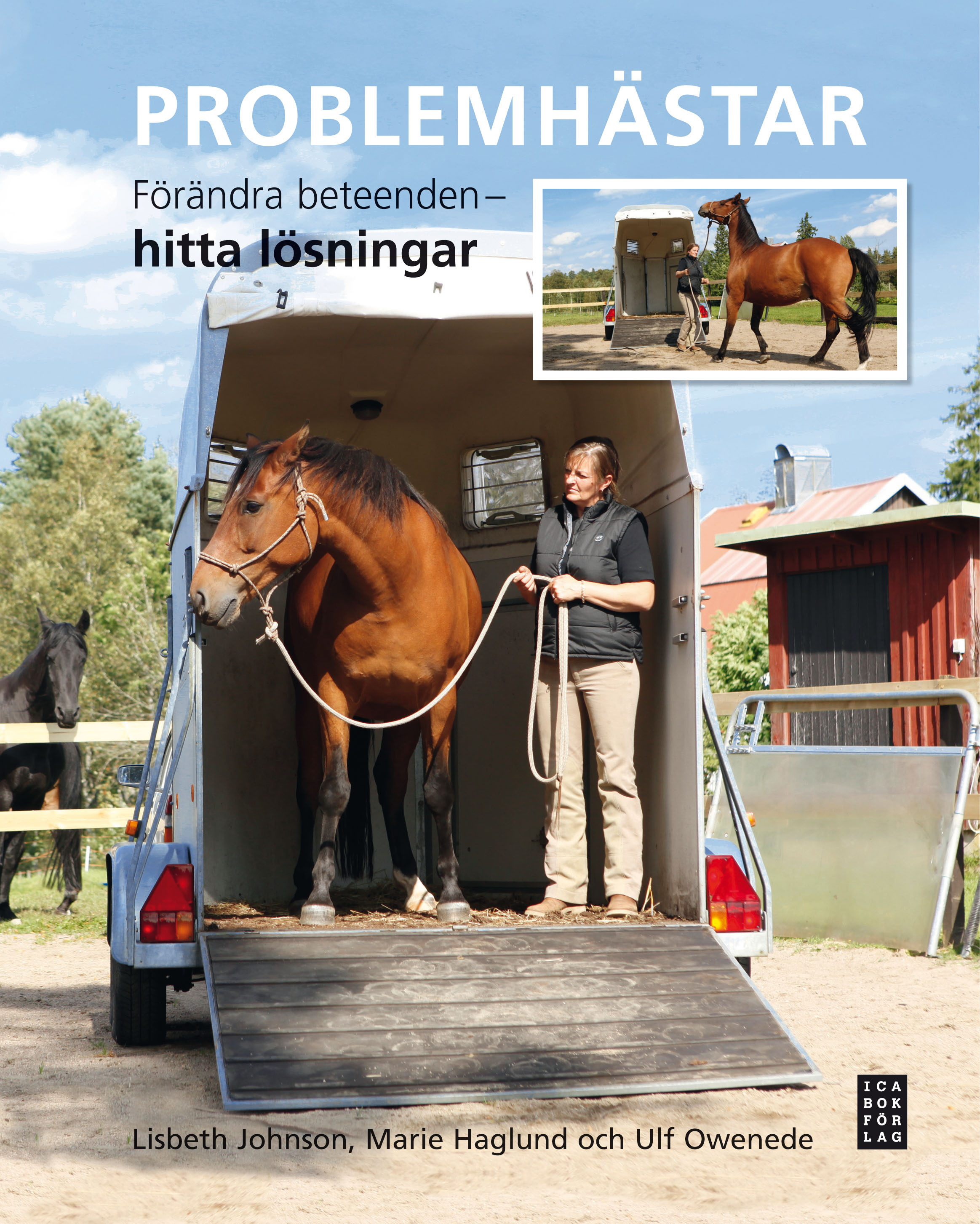 Omslag: Problemhästar