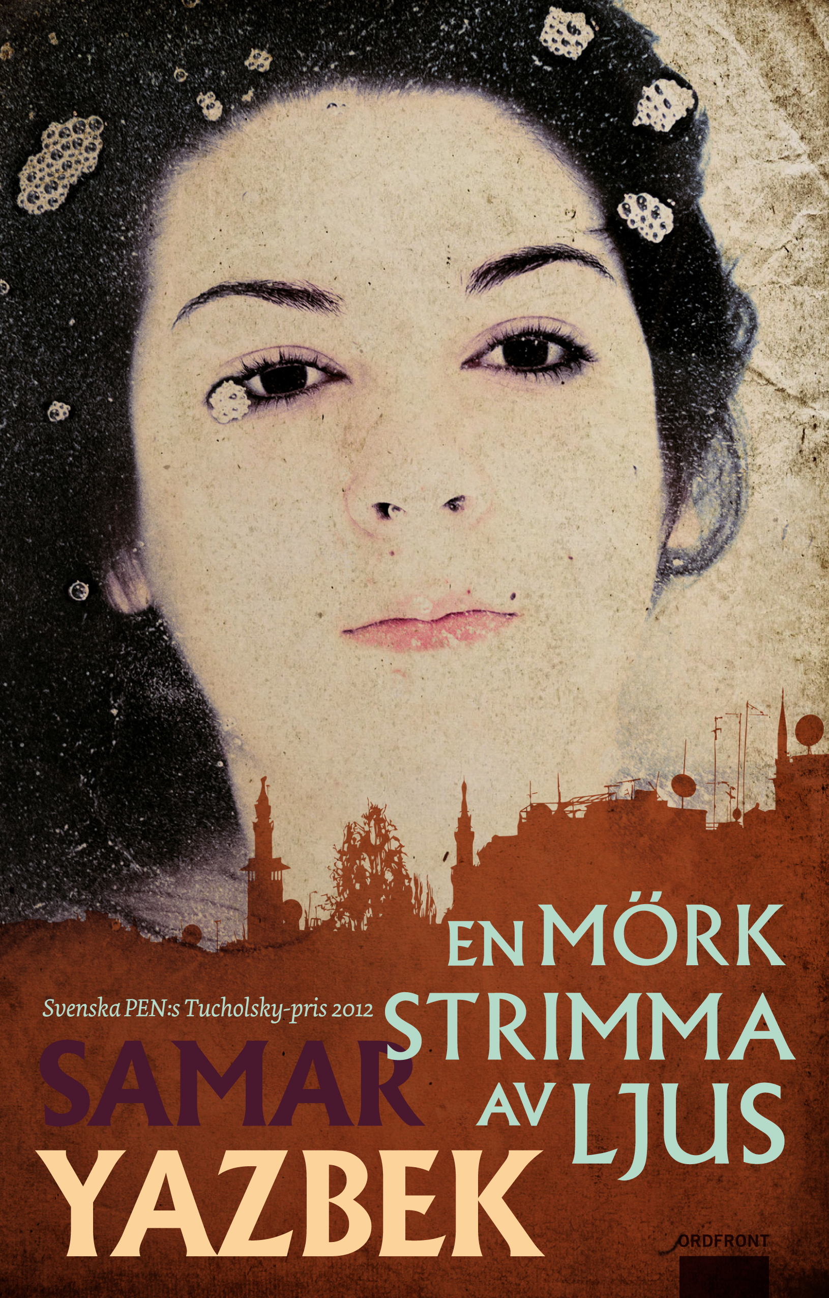 Omslag: En mörk strimma av ljus