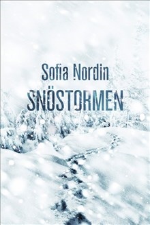 Omslag: Snöstormen