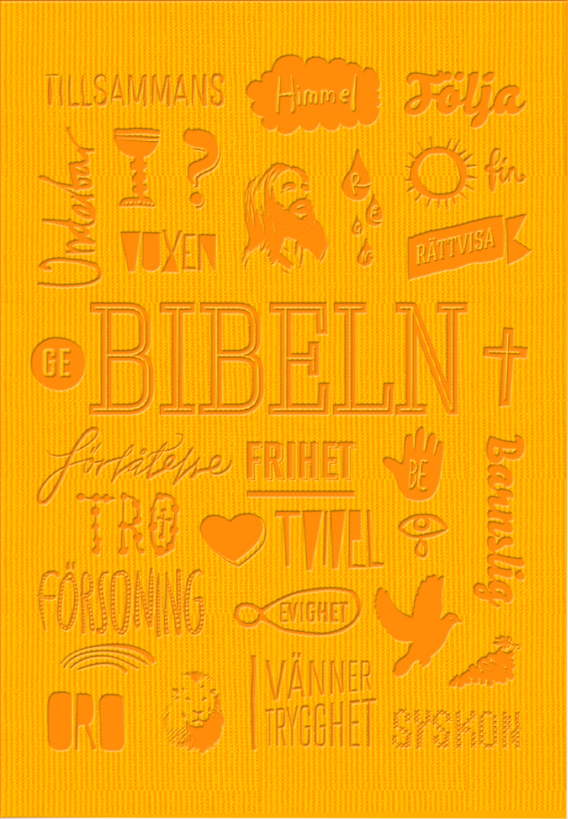 Omslag: Bibeln Konfirmandutgåva