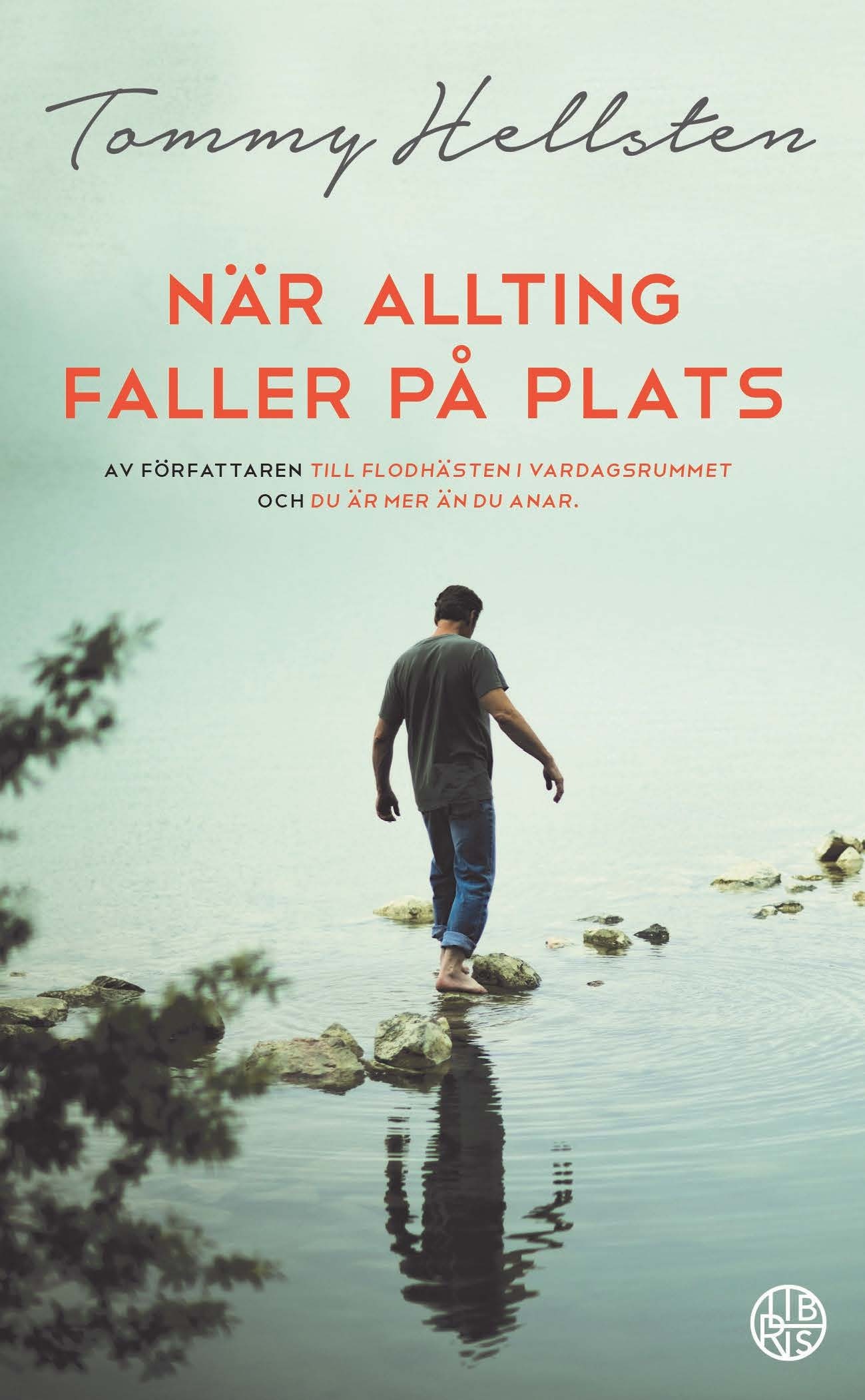 Omslag: När allting faller på plats