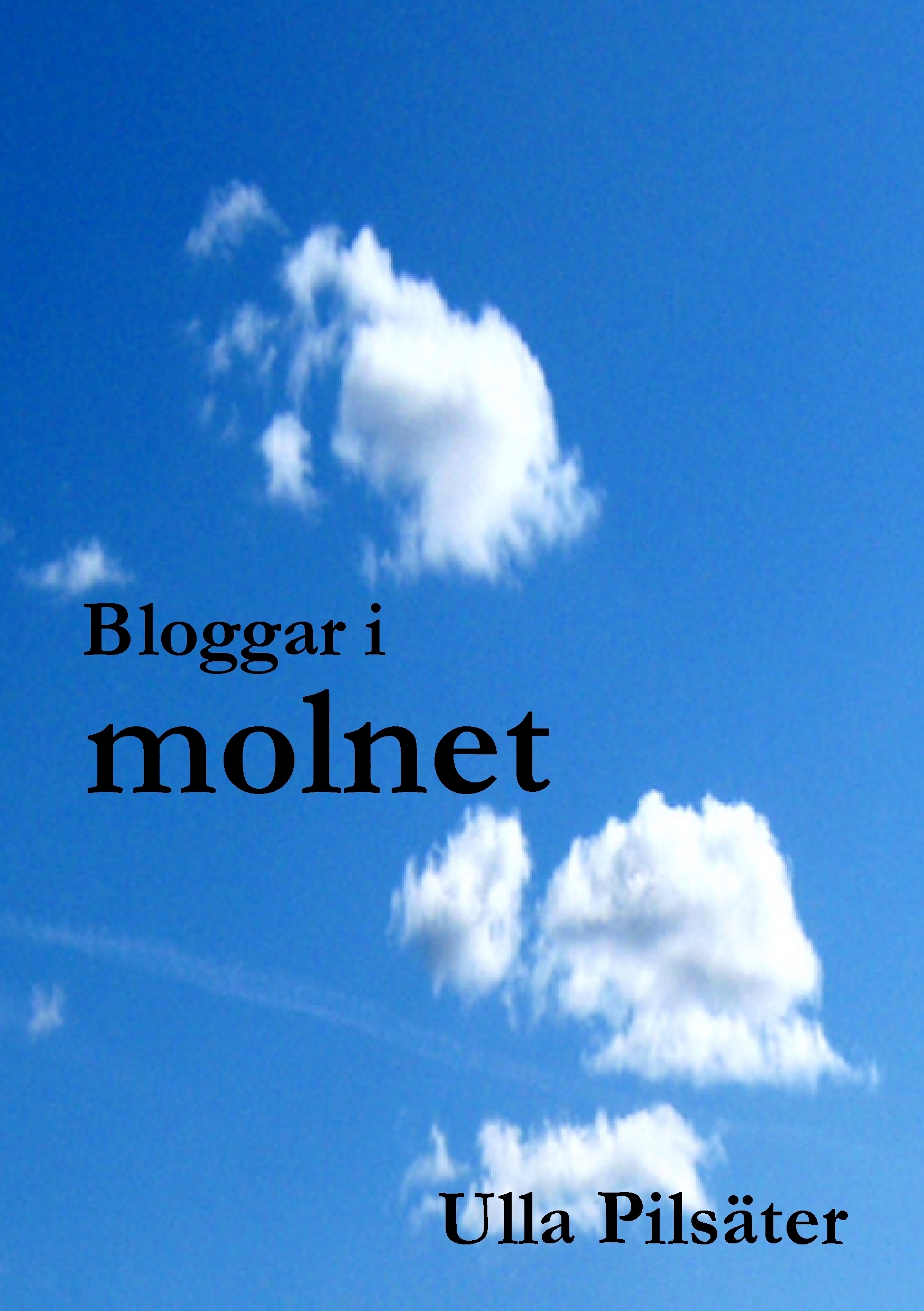 Omslag: Bloggar i molnet