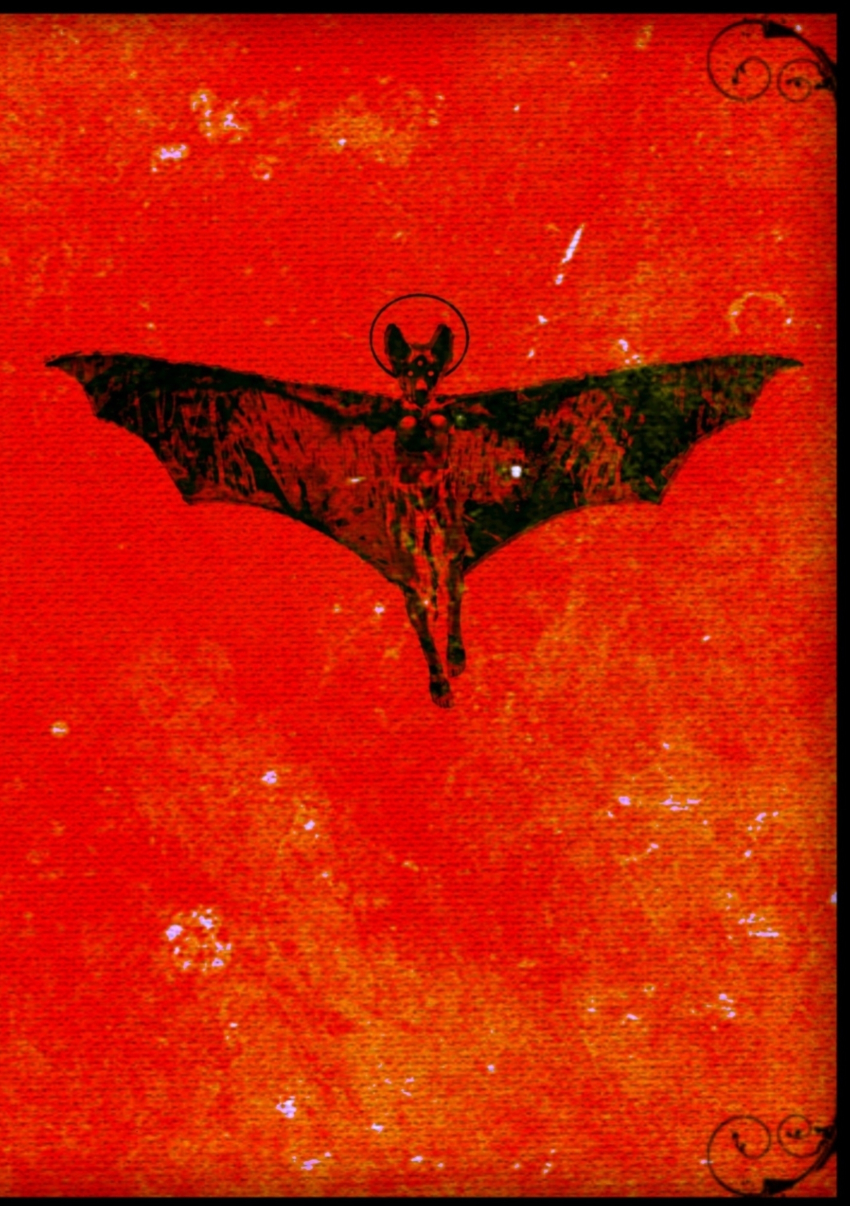 Omslag: Eremonaut II