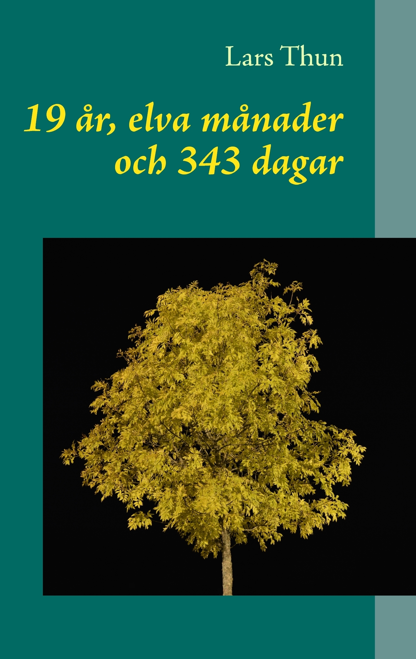 Omslag: 19 år, elva månader och 343 dagar