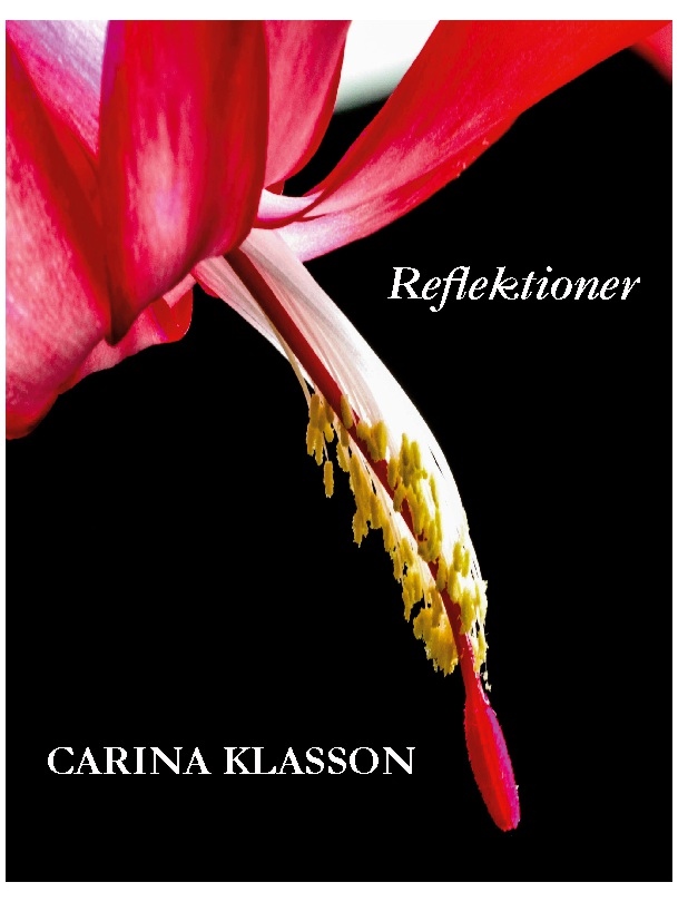 Omslag: Reflektioner