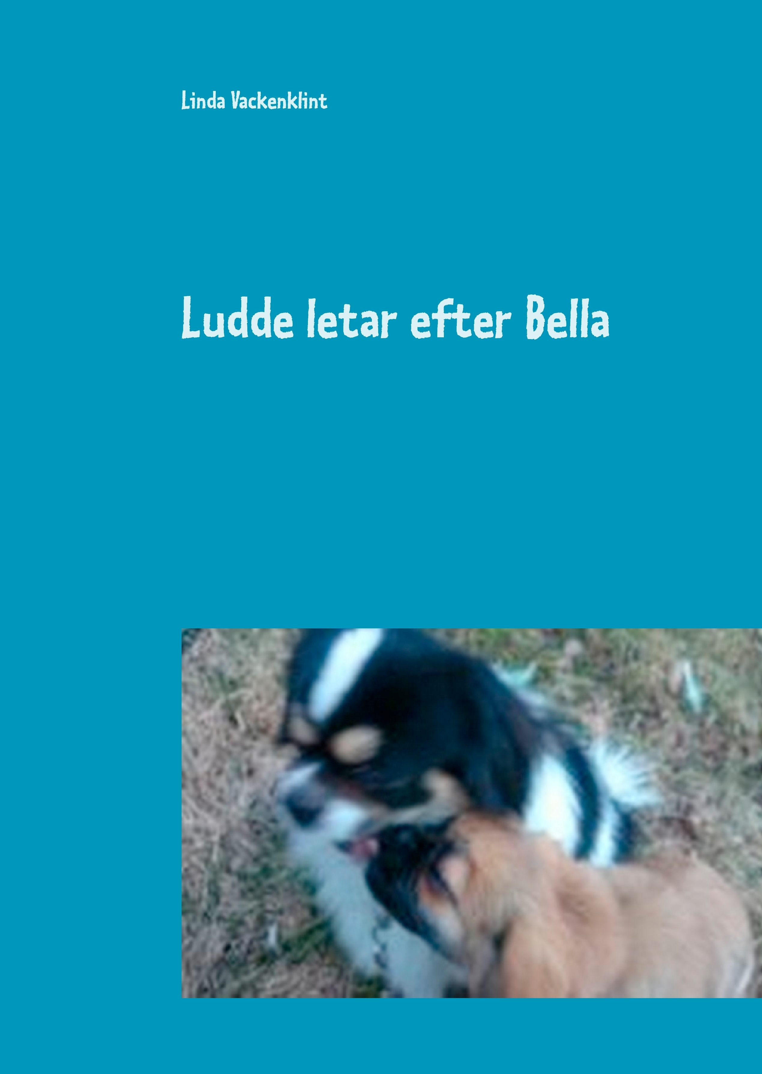 Omslag: Ludde letar efter Bella