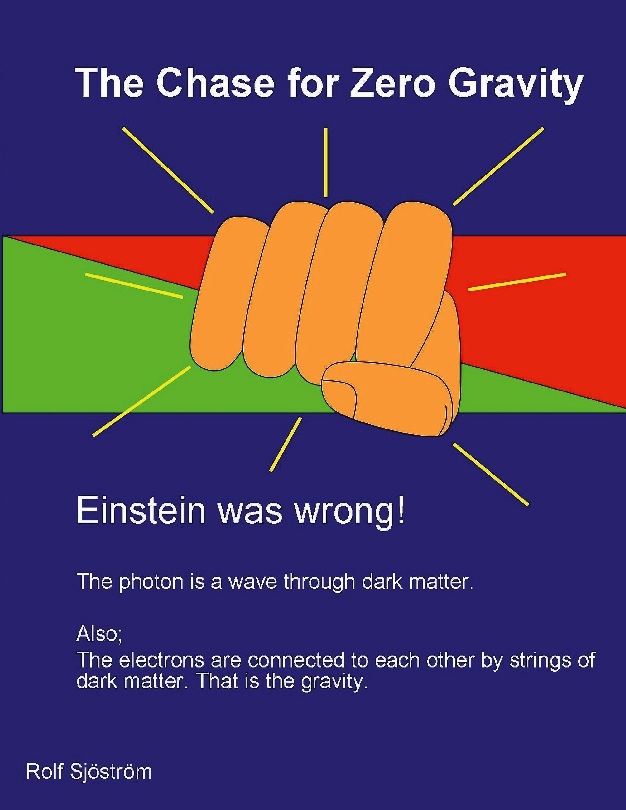 Omslag: The chase for zero gravity : and the discovery of the ocean of strings