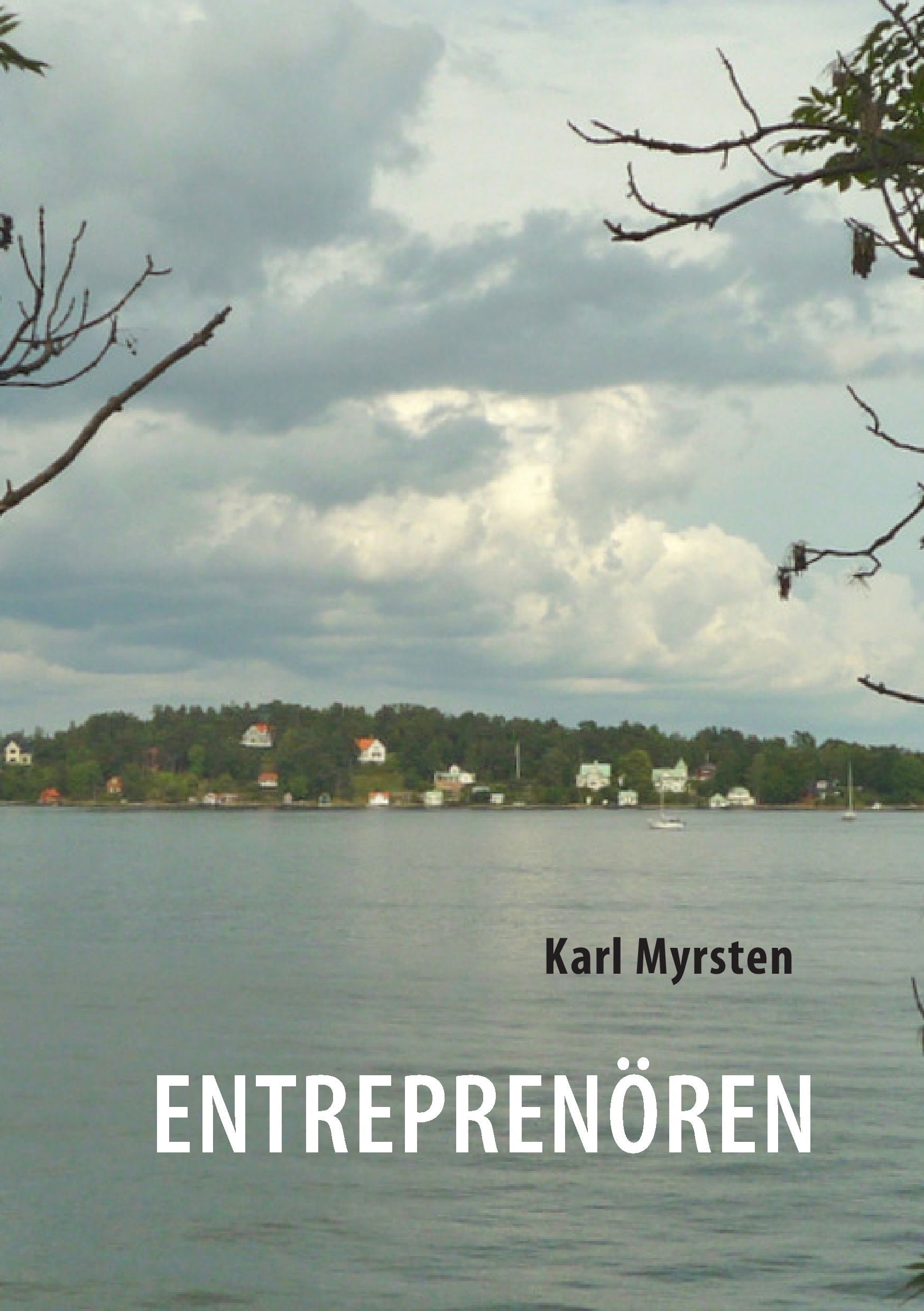 Omslag: Entrepenören