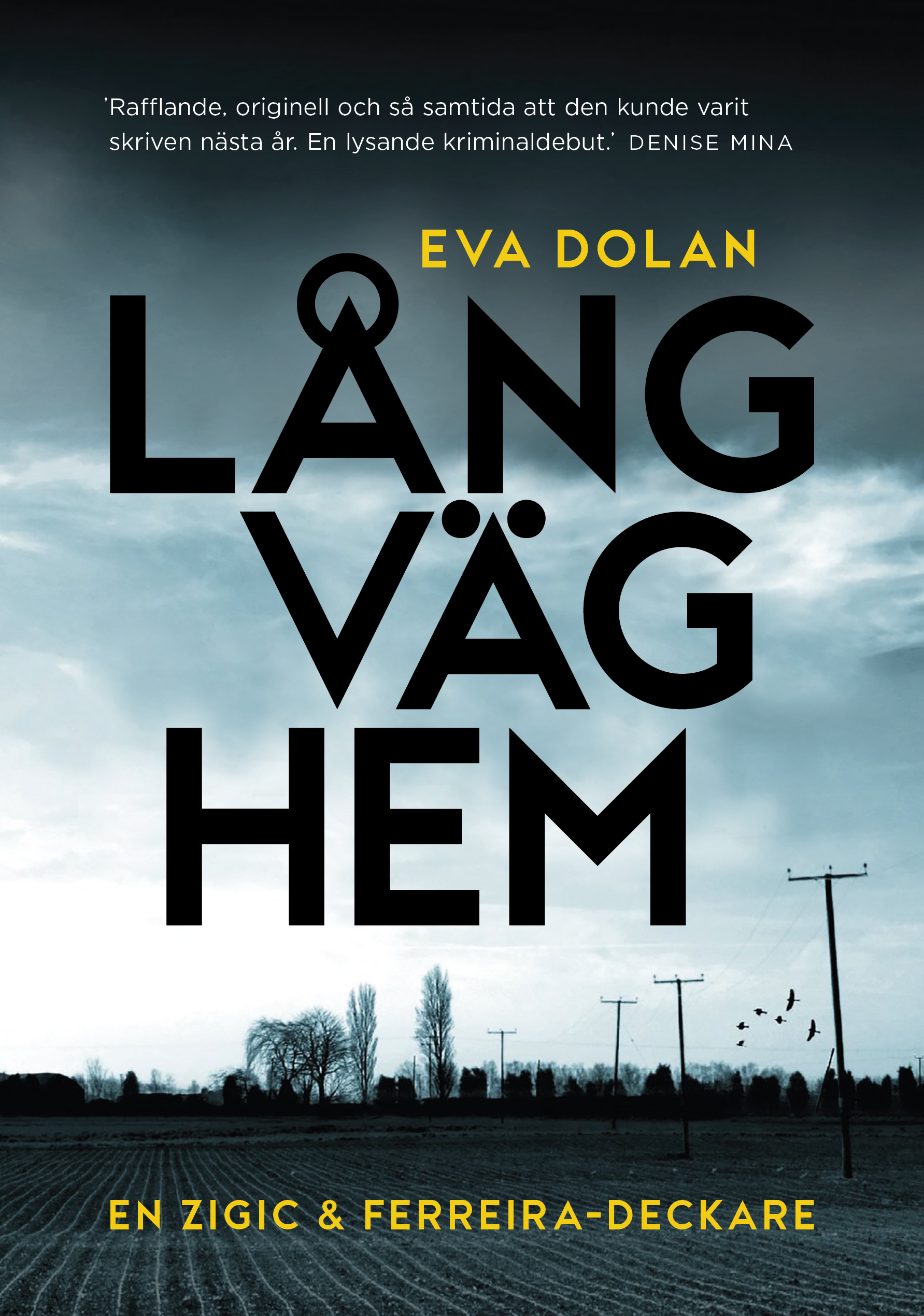 Omslag: Lång väg hem