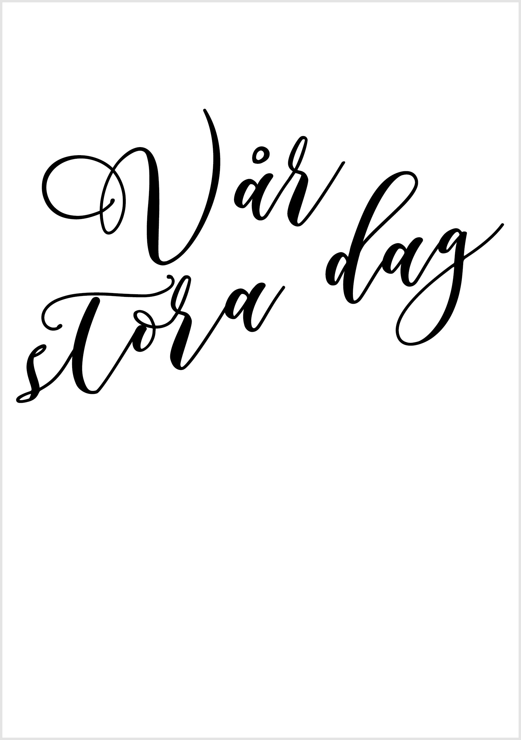 Omslag: Vår stora dag