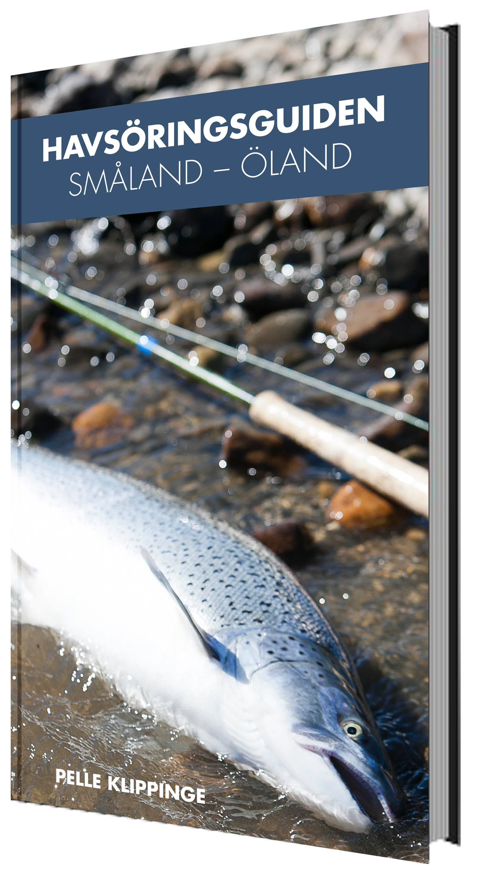Omslag: Havsöringsguiden : Småland - Öland
