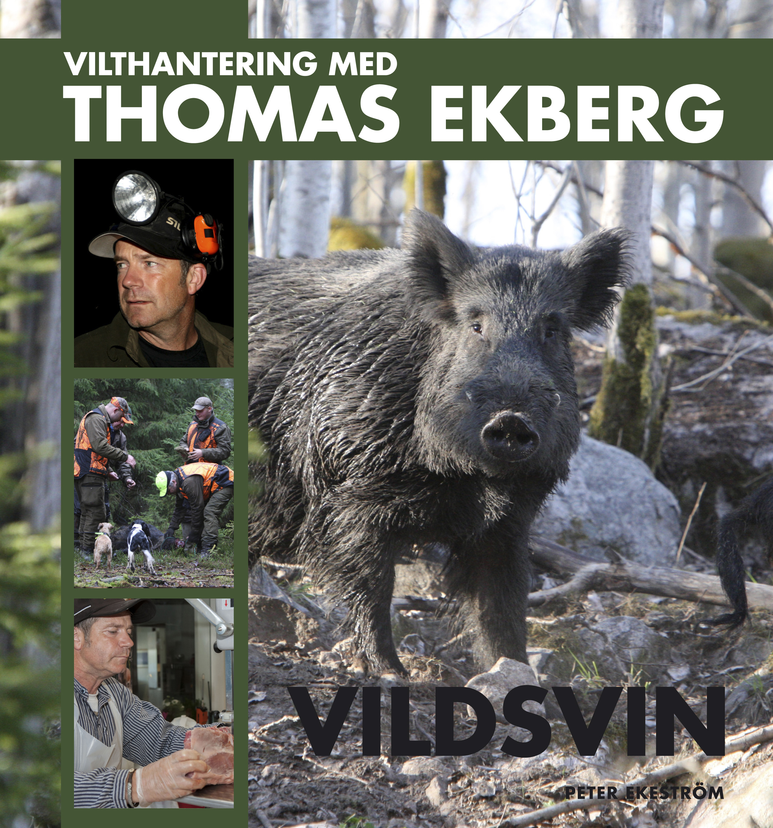 Omslag: Vilthantering med Thomas Ekberg : vildsvin