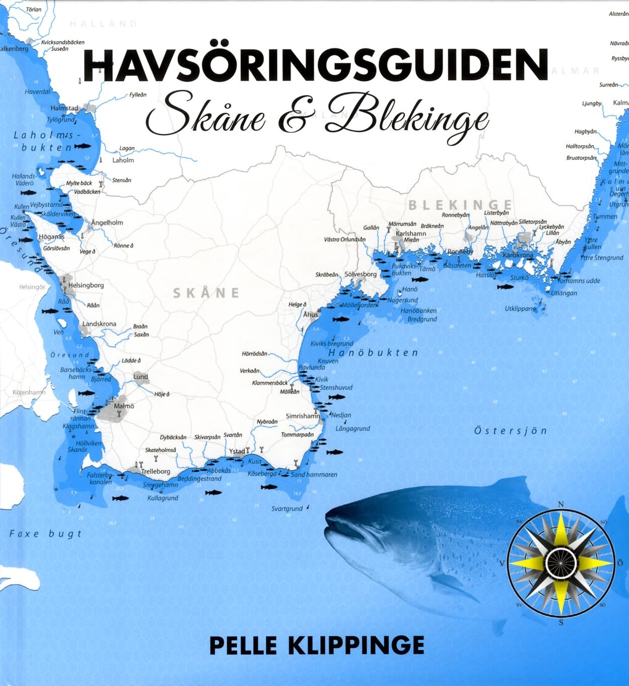 Omslag: Havsöringsguiden. Skåne & Blekinge