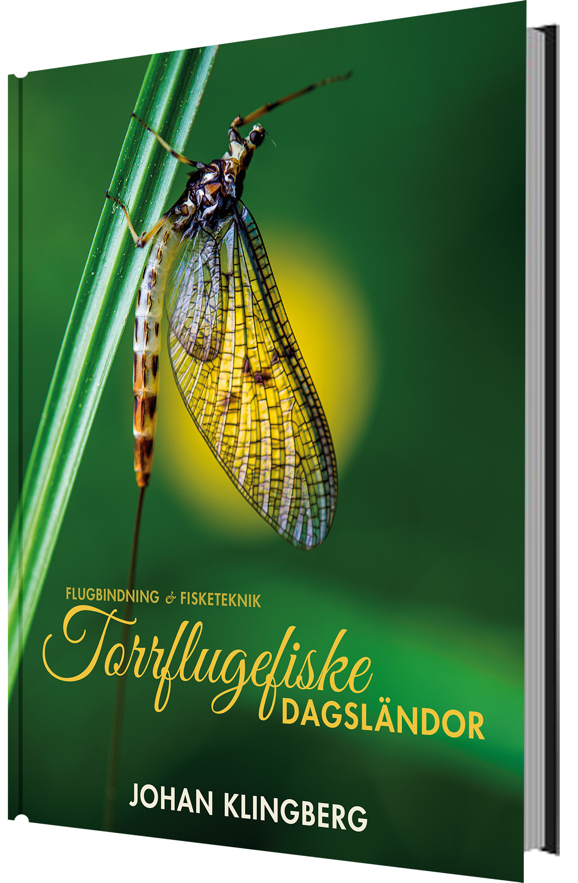 Omslag: Torrflugefiske : dagsländor