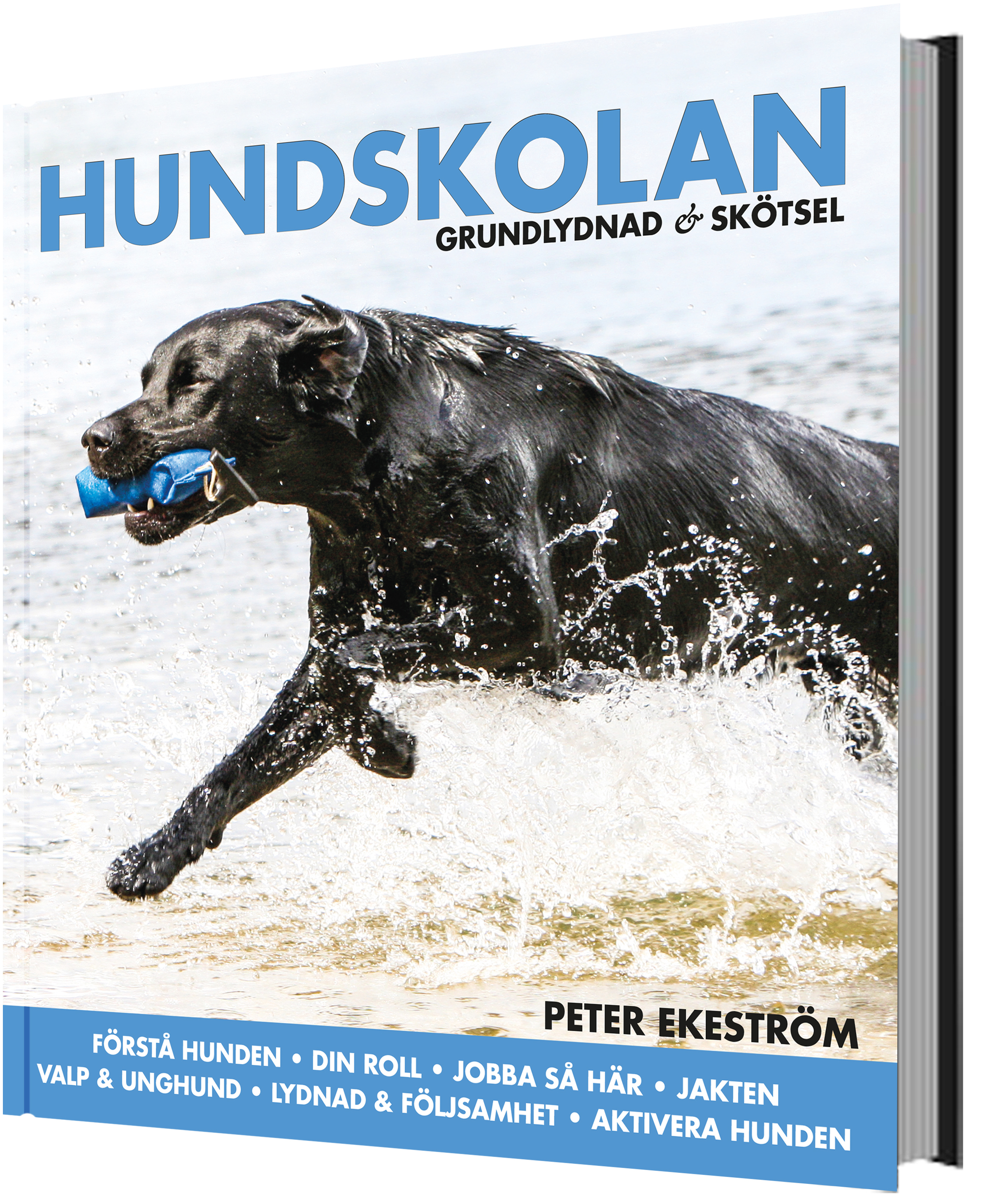 Omslag: Hundskolan : grundlydnad & skötsel