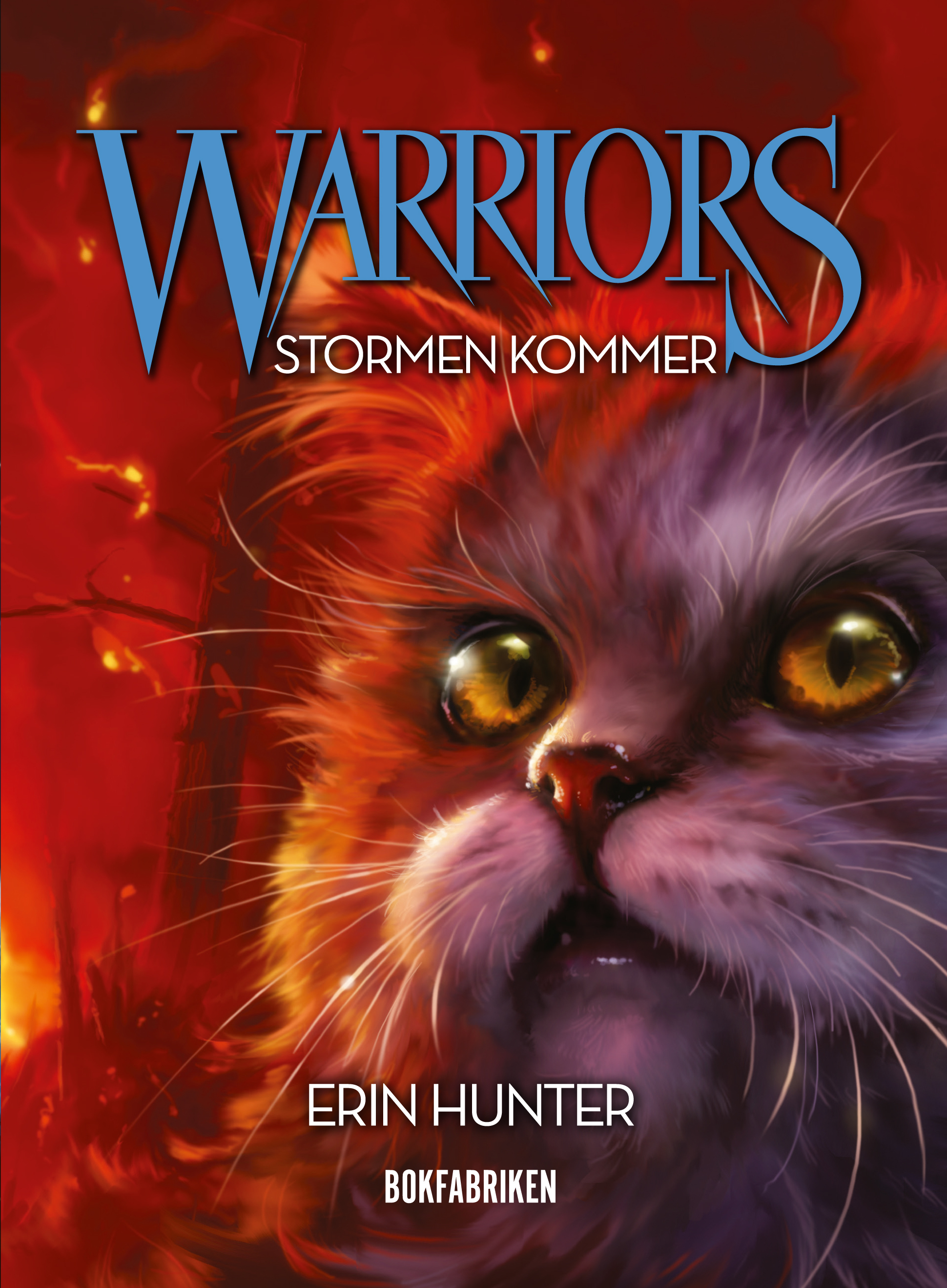 Omslag: Warriors 1. Stormen kommer