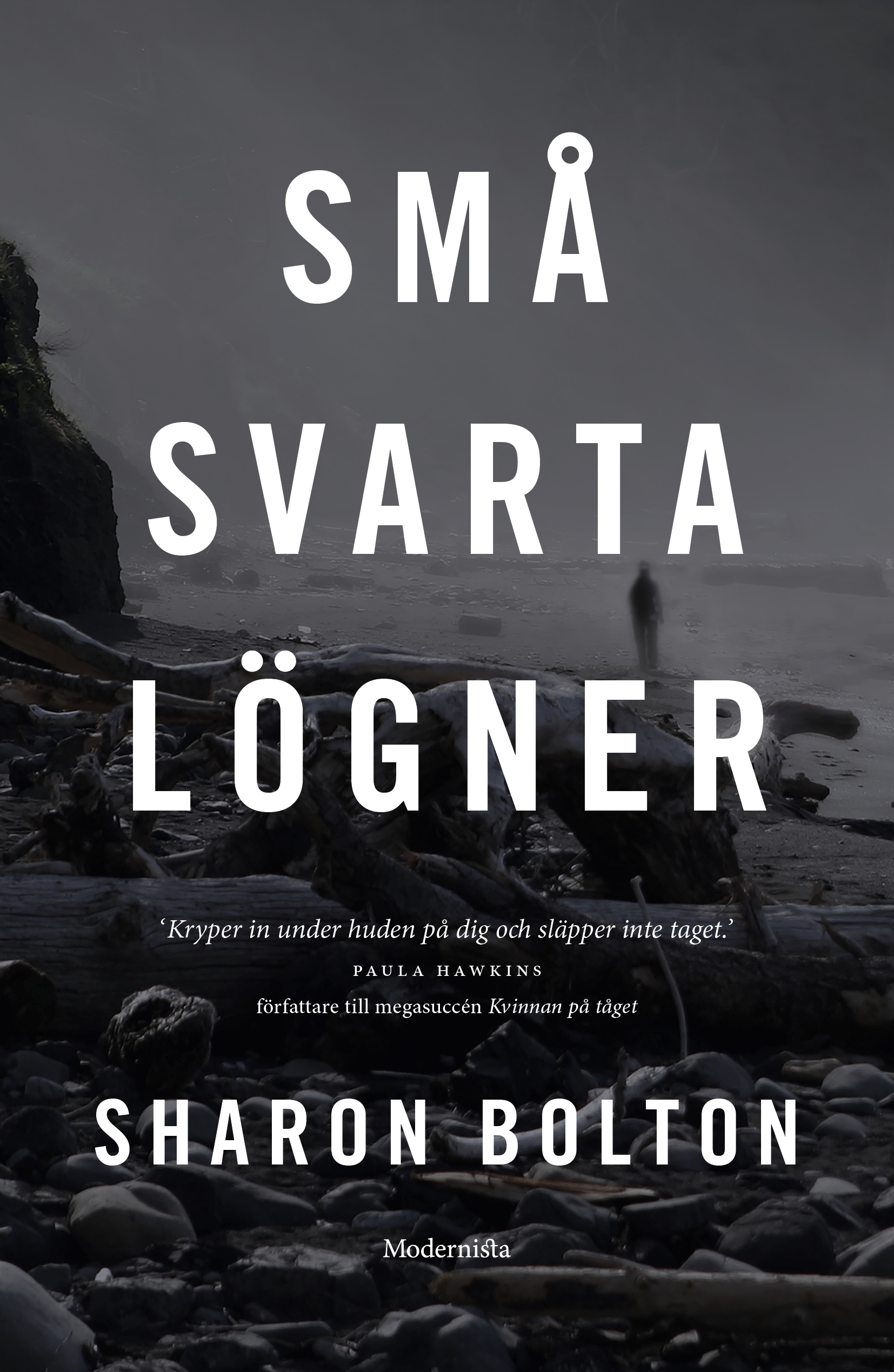 Omslag: Små svarta lögner
