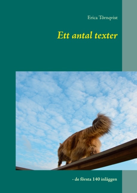 Omslag: Ett antal texter : de första 140 inläggen