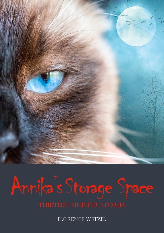 Omslag: Annika's storage space : thirteen sinister stories
