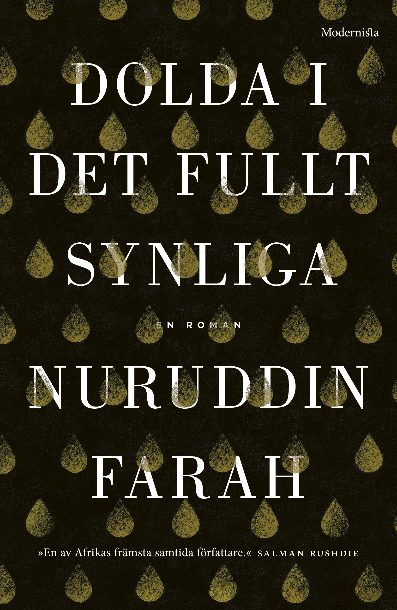 Omslag: Dolda i det fullt synliga