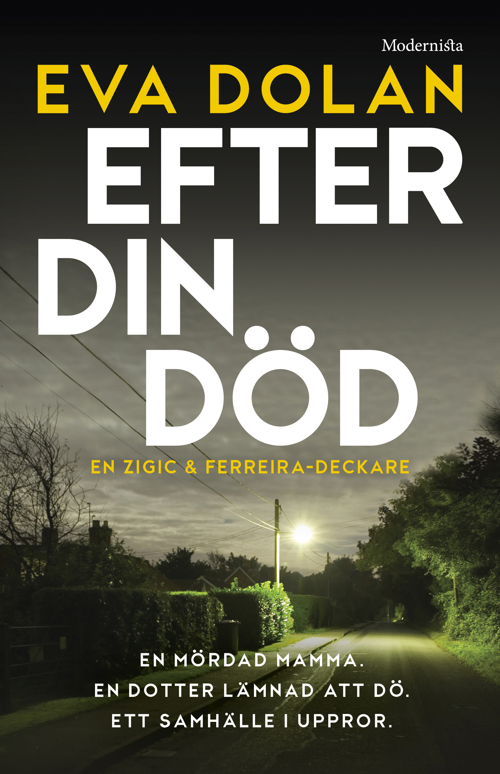 Omslag: Efter din död