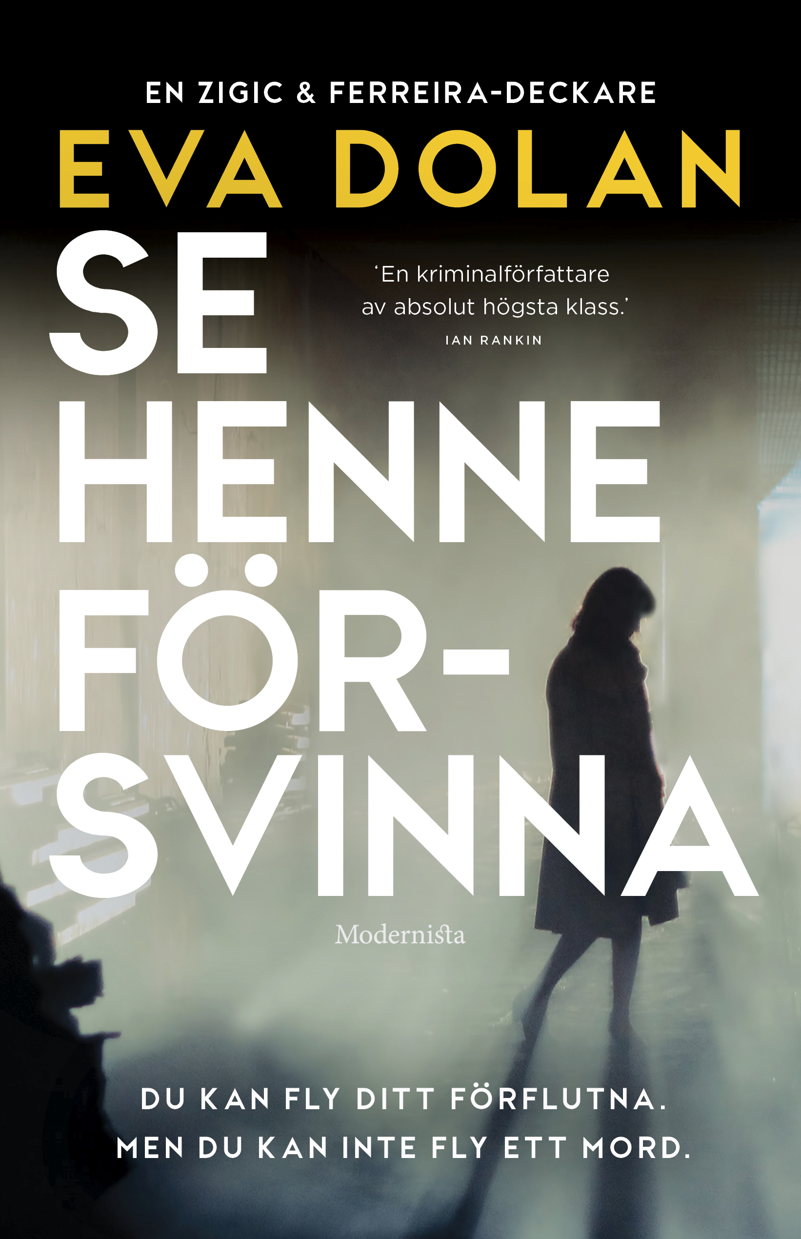 Omslag: Se henne försvinna