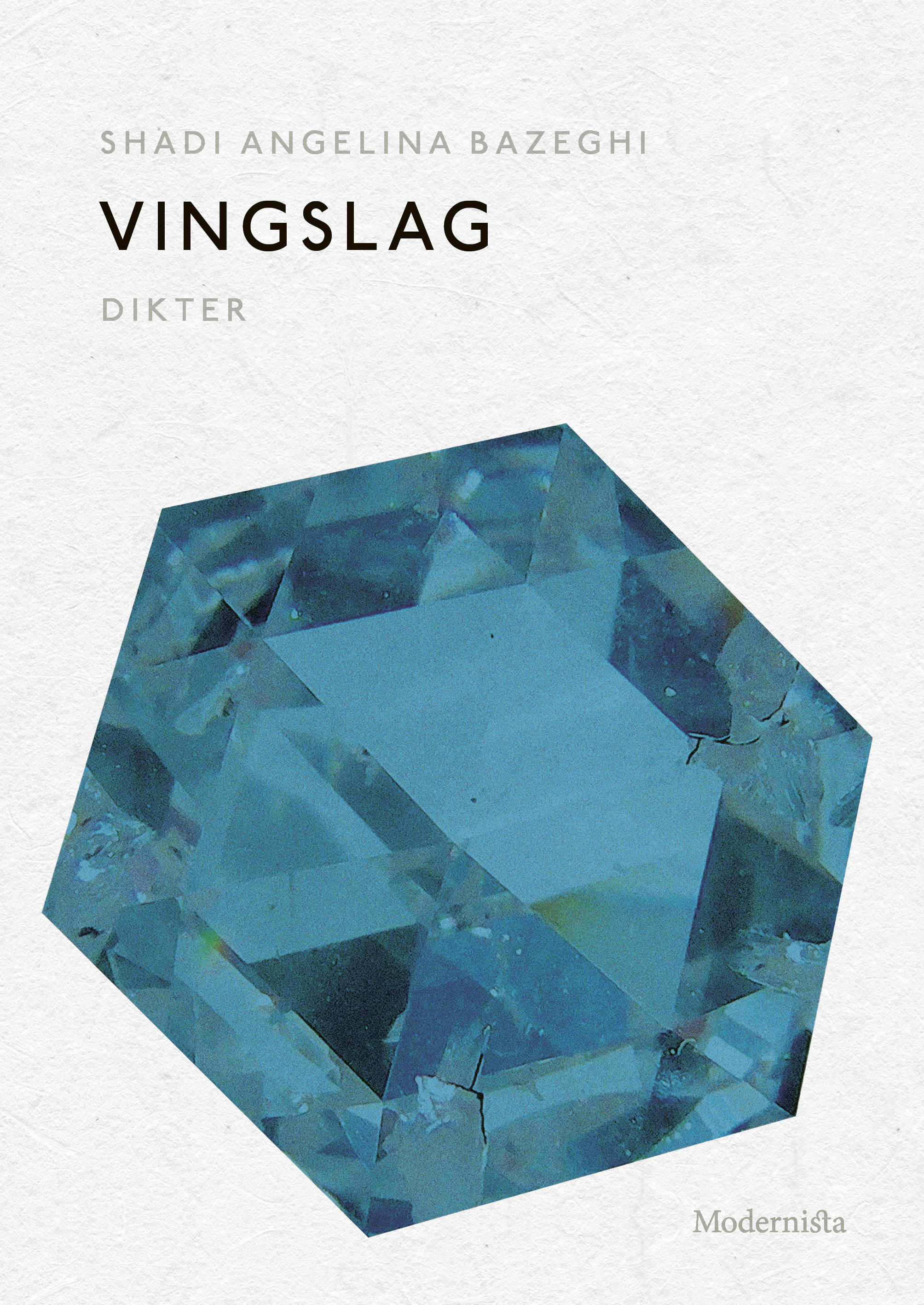 Omslag: Vingslag
