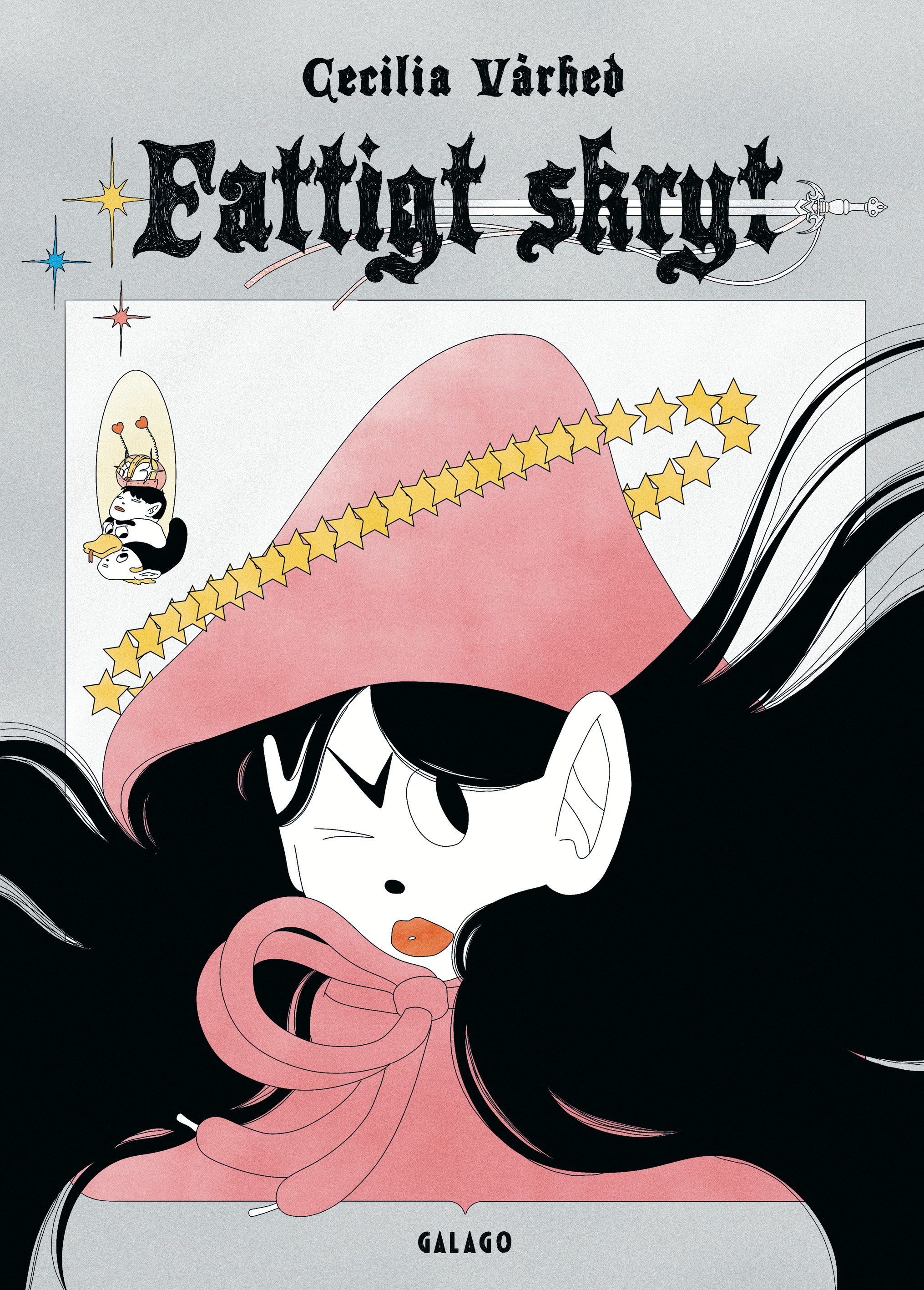 Omslag: Fattigt skryt