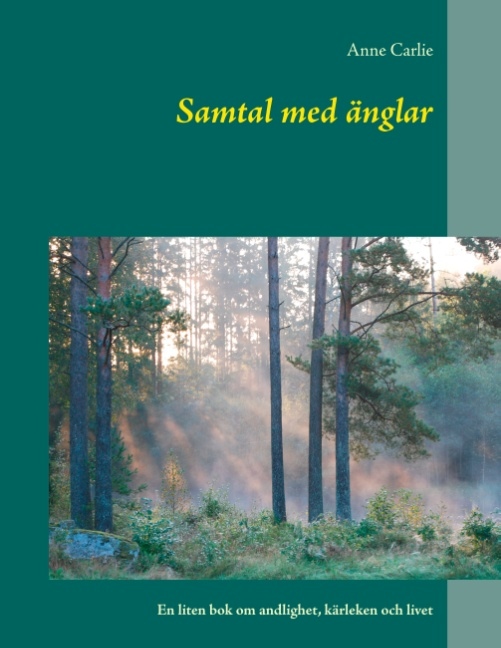 Omslag: Samtal med änglar : En liten bok om andlighet, kärleken och livet