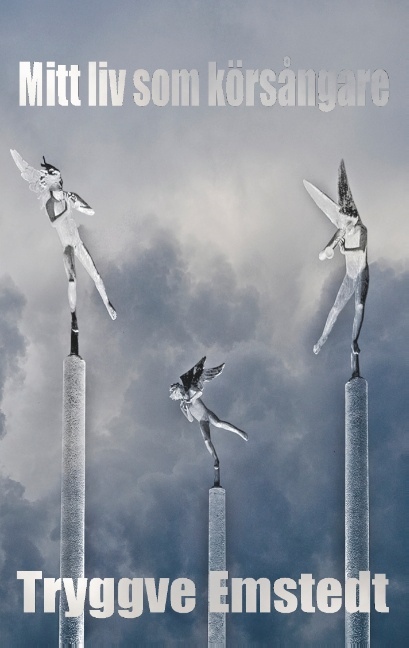 Omslag: Mitt liv som körsångare : jakten på ett dreamteam