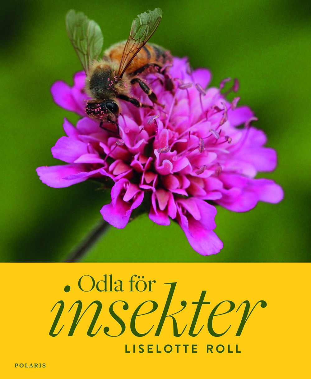 Omslag: Odla för insekter