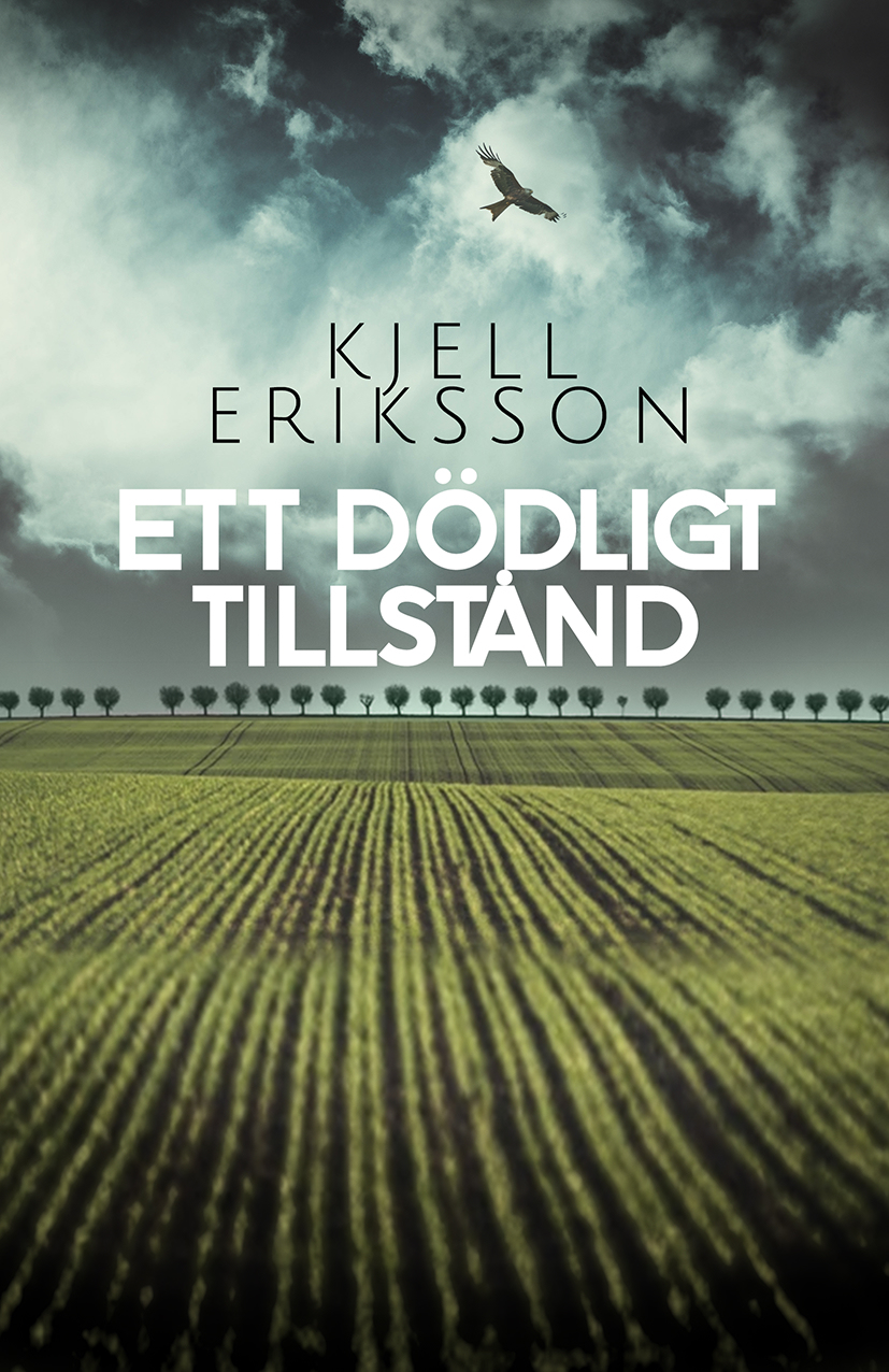 Omslag: Ett dödligt tillstånd