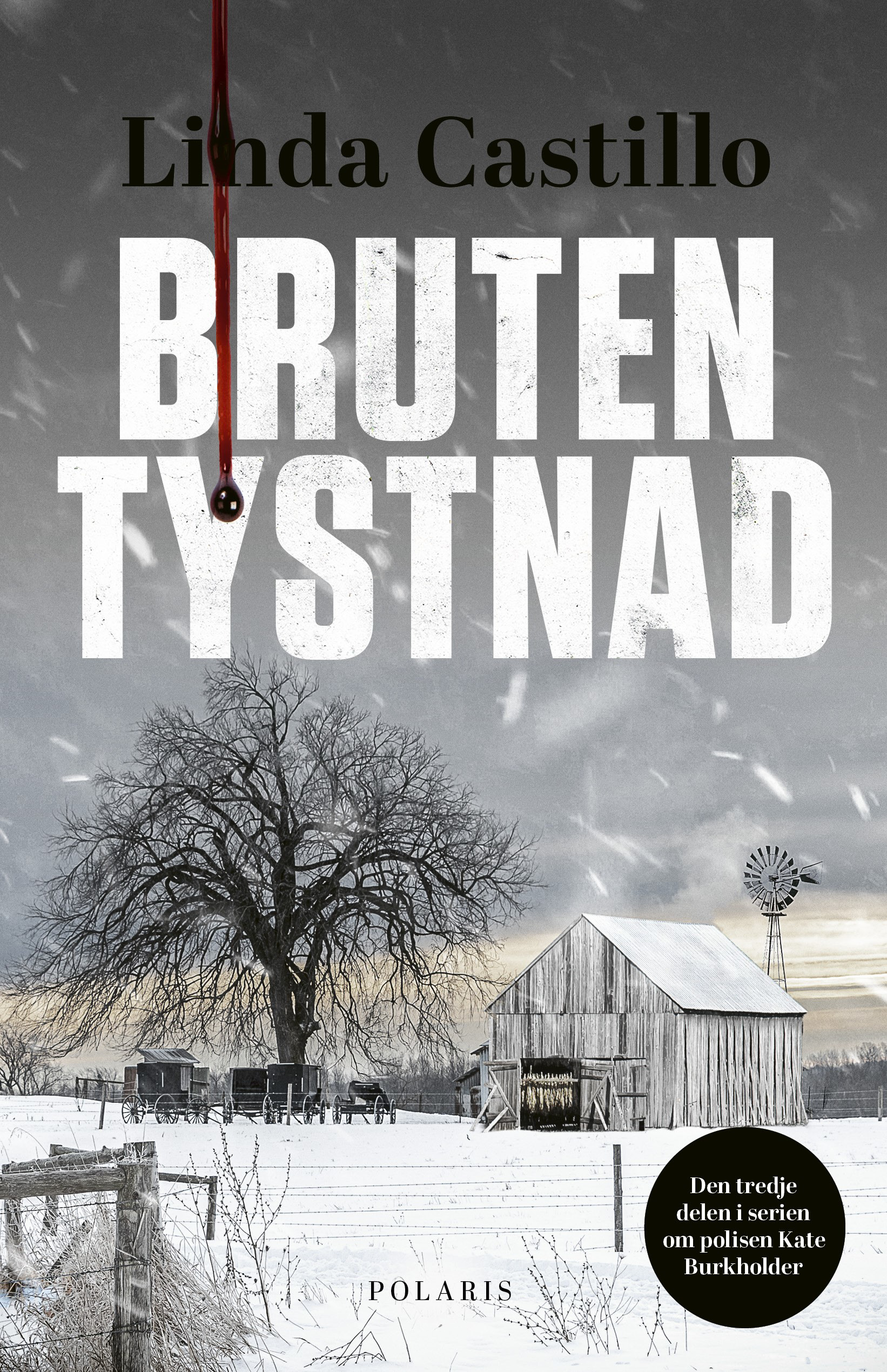 Omslag: Bruten tystnad