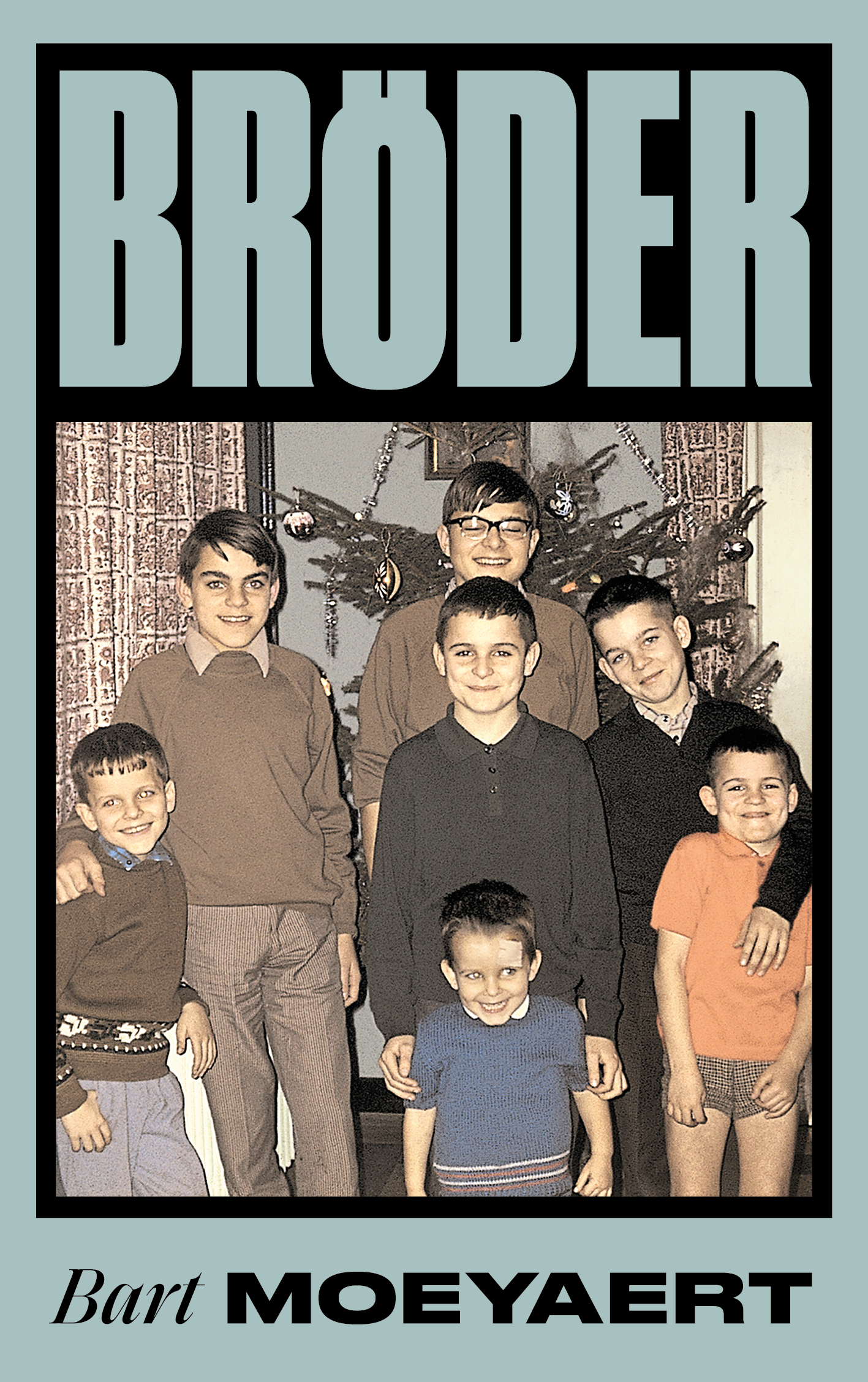 Omslag: Bröder