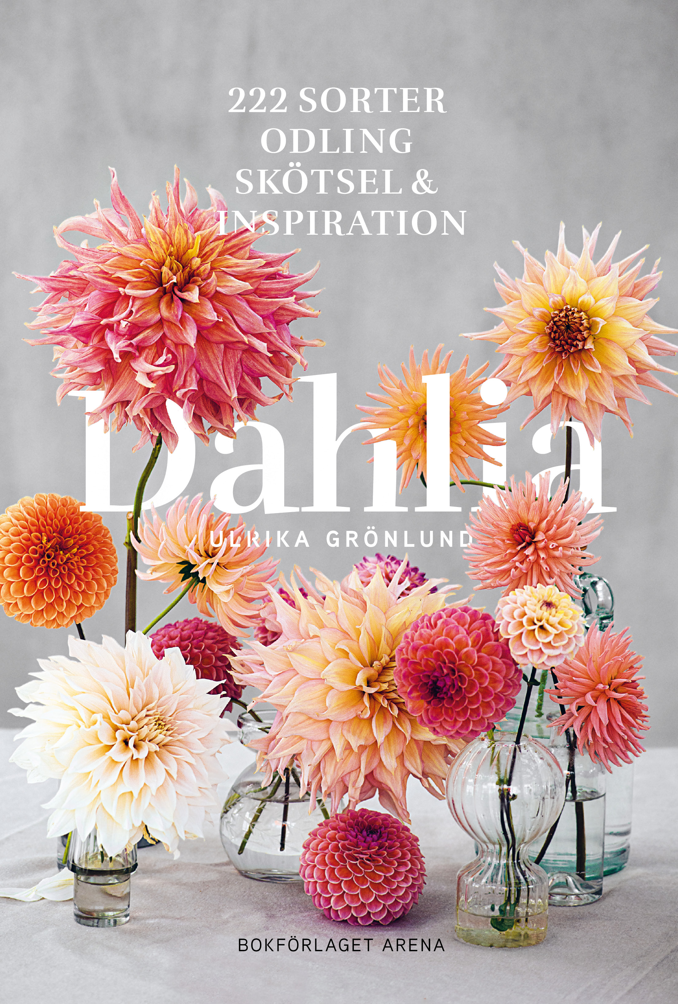 Omslag: Dahlia : 222 sorter, odling, skötsel och inspiration