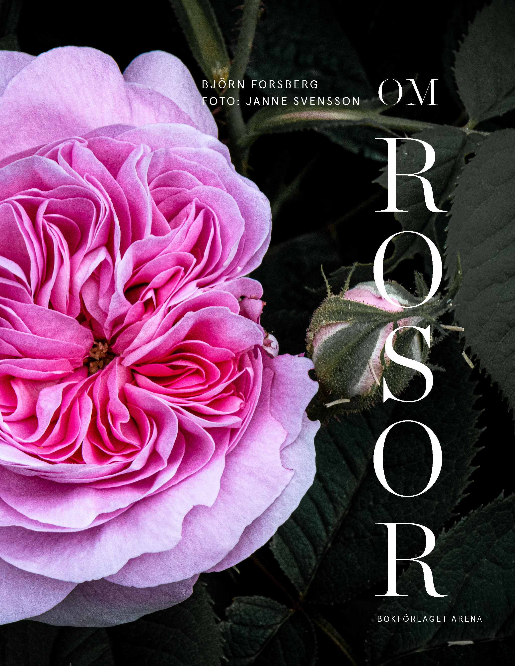 Omslag: Om rosor