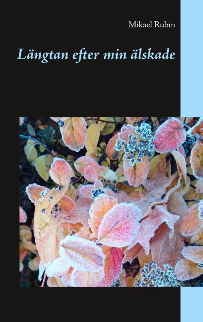 Omslag: Längtan efter min älskade