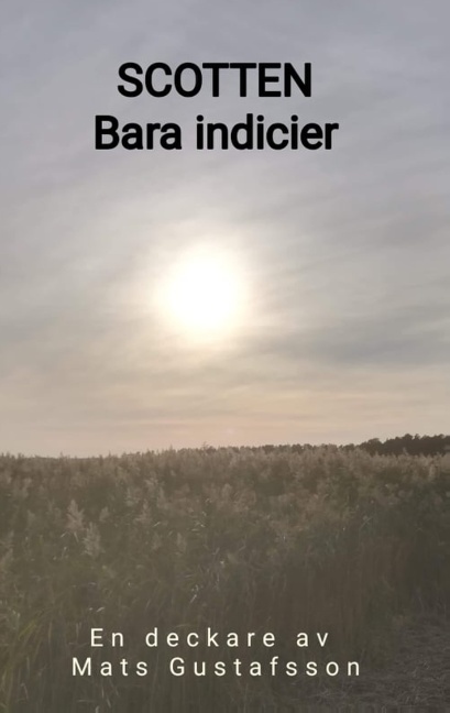 Omslag: Bara indicier