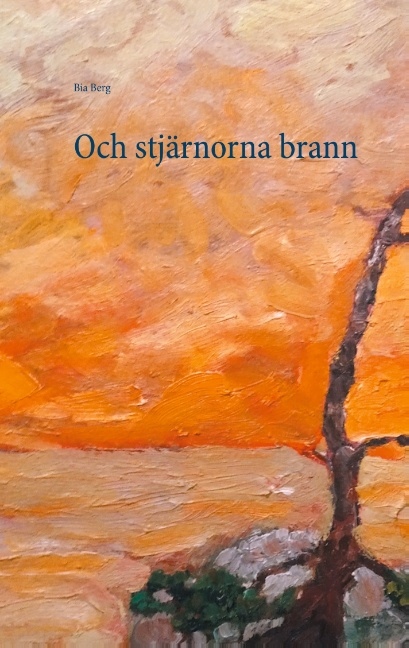 Omslag: Och stjärnorna brann