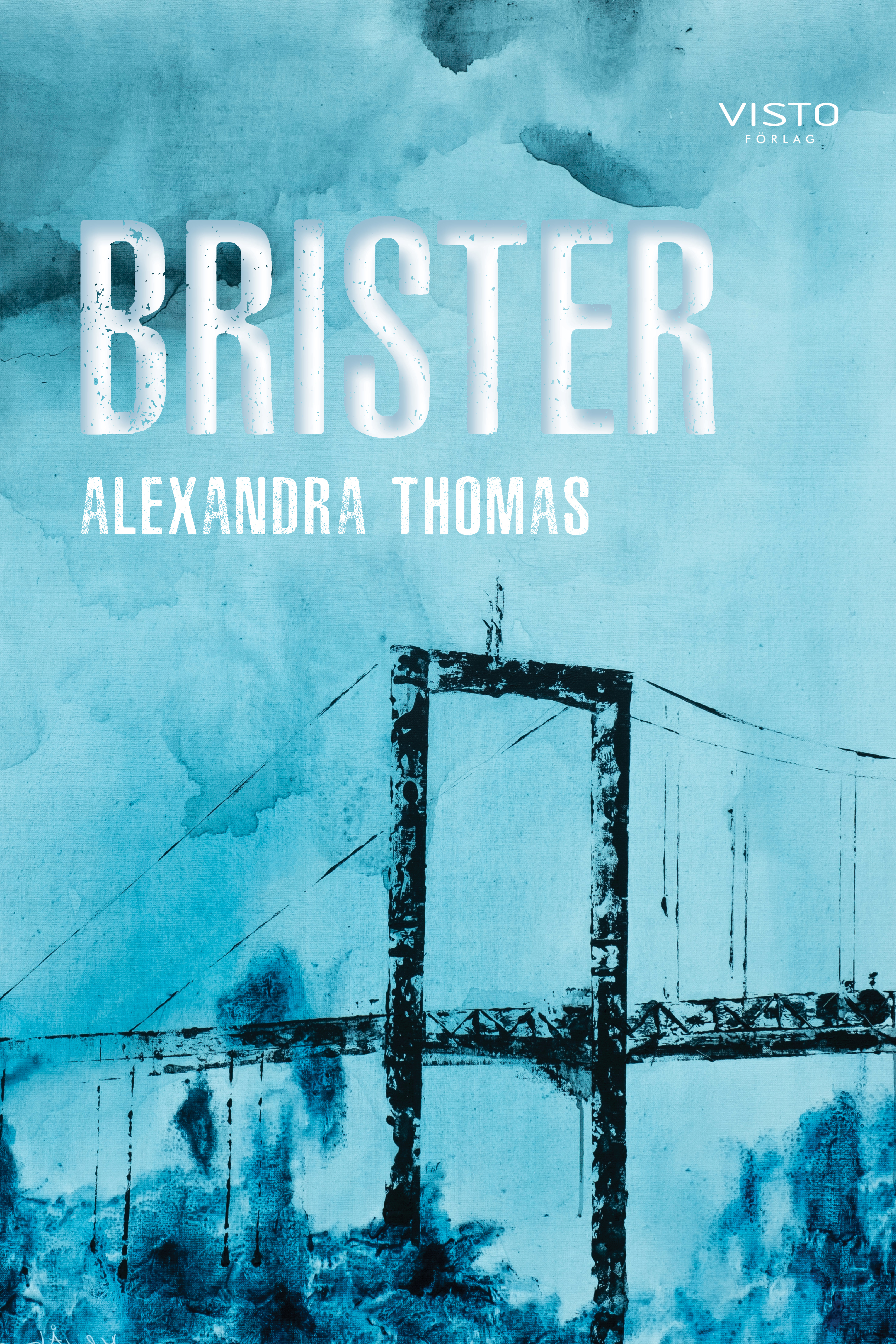 Omslag: Brister