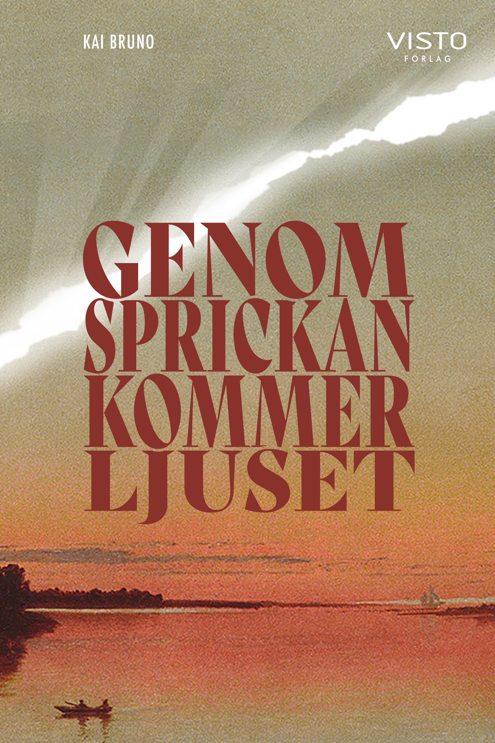 Omslag: Genom sprickan kommer ljuset