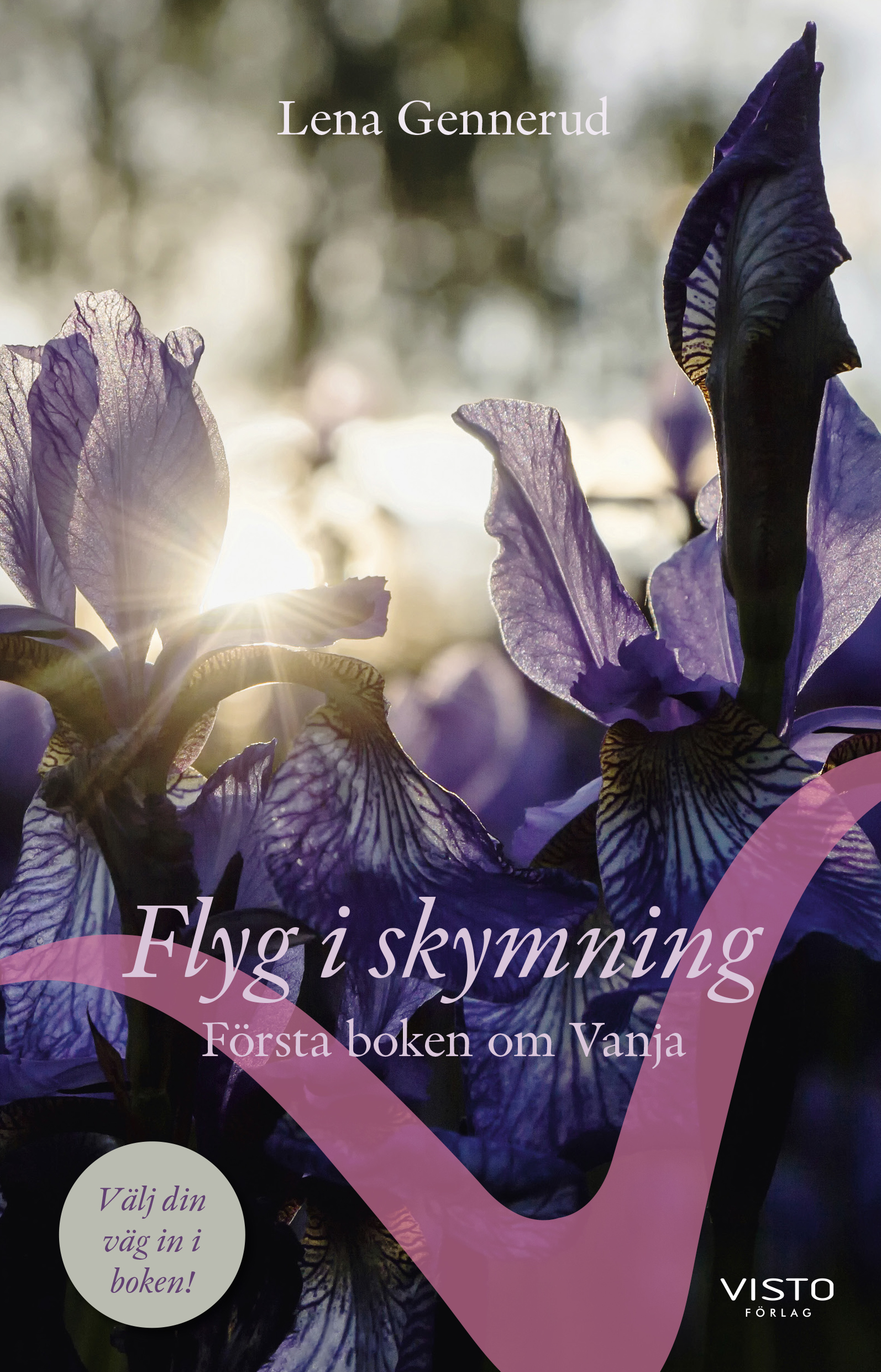 Omslag: Flyg i skymning : första boken om Vanja