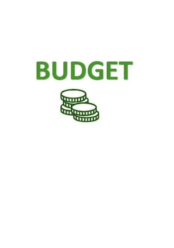 Omslag: Budget