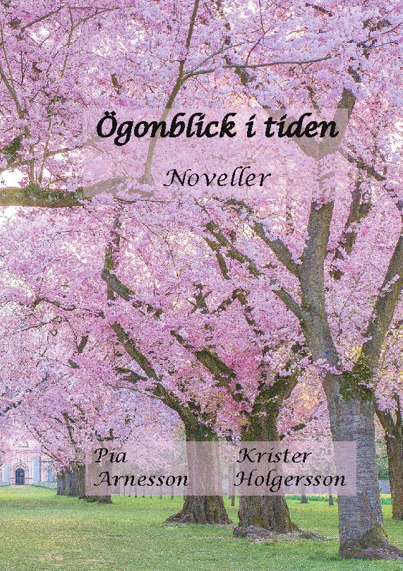 Omslag: Ögonblick i tiden : noveller