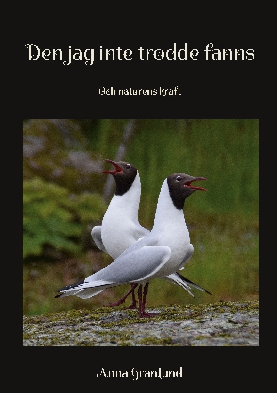 Omslag: Den jag inte trodde fanns : och naturens kraft