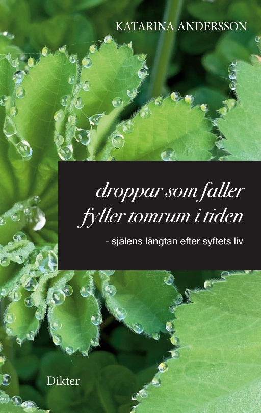 Omslag: Droppar som faller fyller tomrum i tiden : själens längtan efter syftets liv